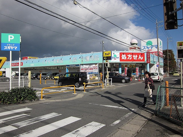 Dorakkusutoa. Drag Sugiyama Kubota shop 153m until (drugstore)