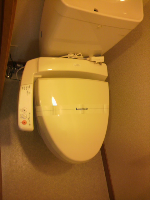 Toilet. Warm water washing toilet seat (shower toilet)