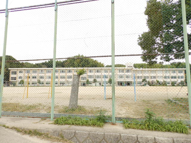 Primary school. 937m to Yokkaichi Municipal Shigo elementary school (elementary school)