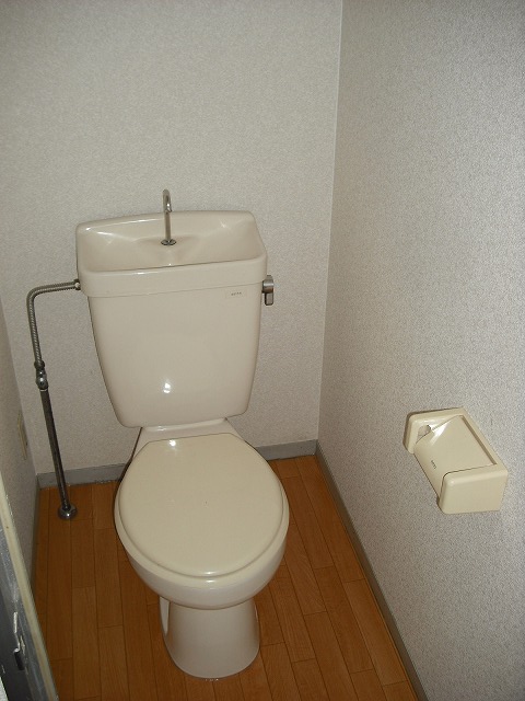 Toilet. It is beautiful.