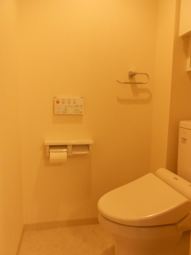 Toilet. Indoor (12 May 2013) Shooting