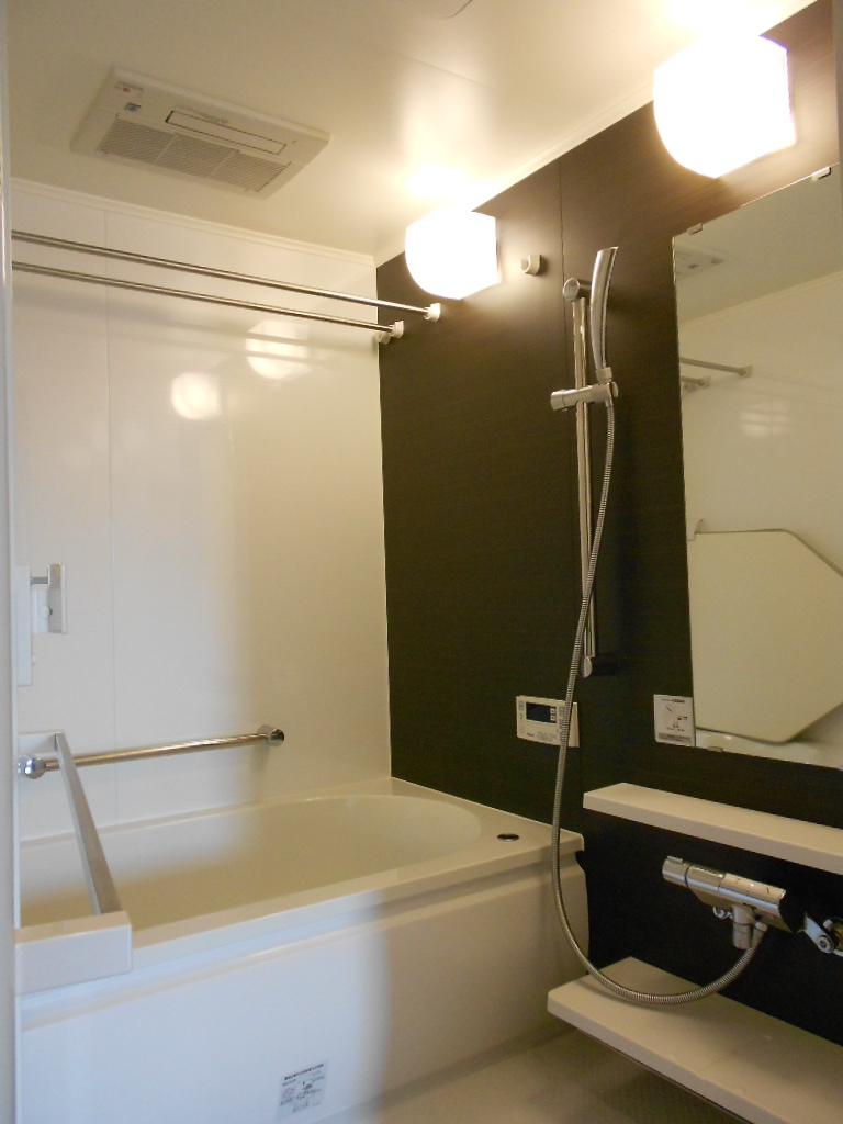 Bathroom. Indoor (12 May 2013) Shooting