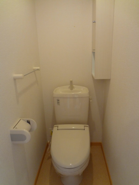 Toilet. Isomorphic type