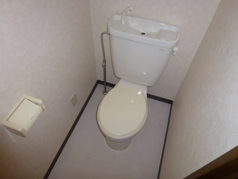 Toilet. Same apartment Separate reference photograph