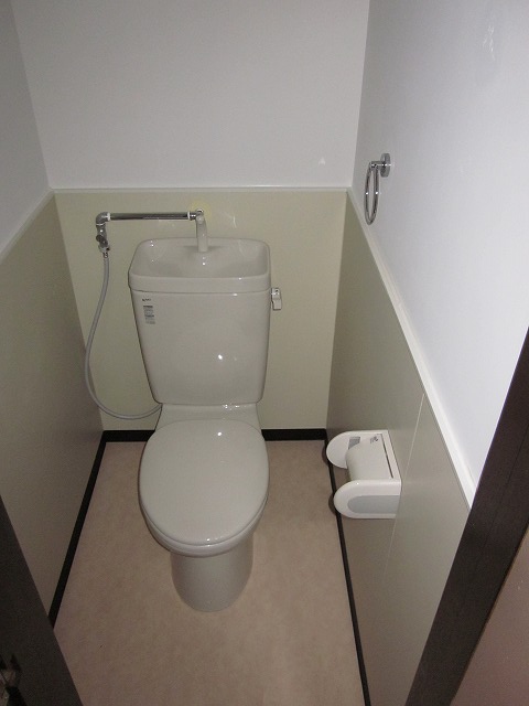 Other. Hey new toilet.