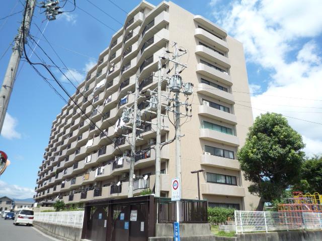 Local appearance photo. Local shooting