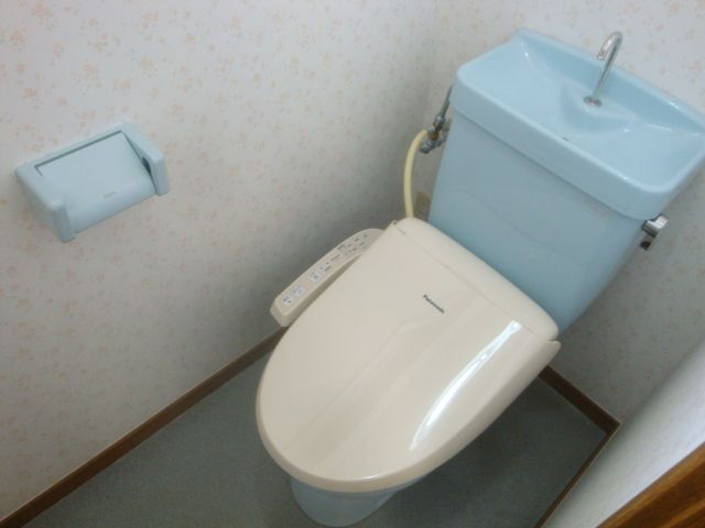 Toilet. Warm water washing toilet seat. Not muffled even the air there is a window.