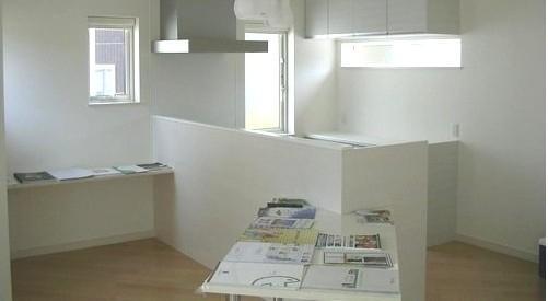 Kitchen. Style image of arranged kitchen diagonally!