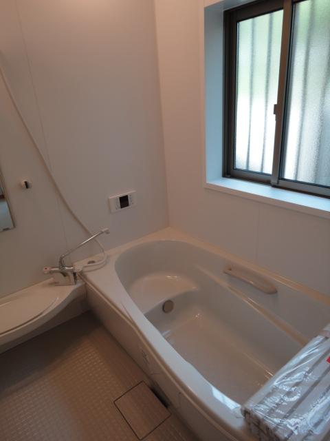 Bathroom. Indoor (12 May 2013) Shooting