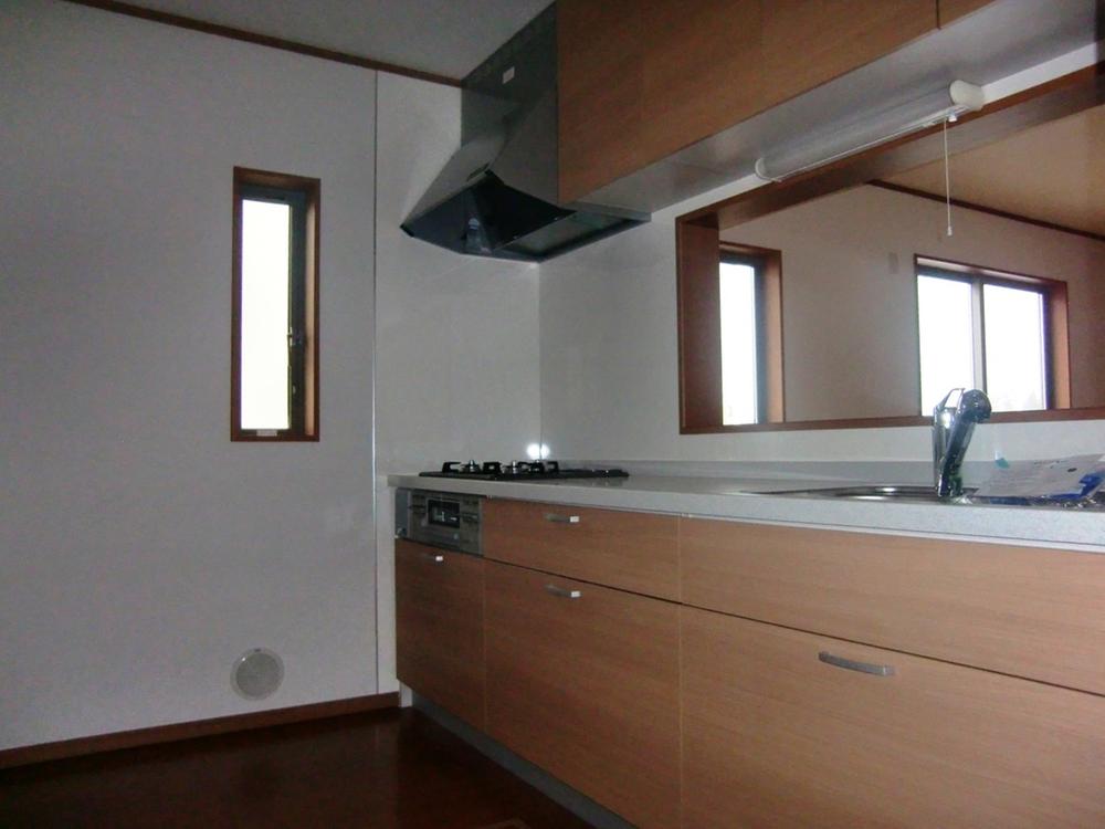 Kitchen. Water purification function with hand shower faucet