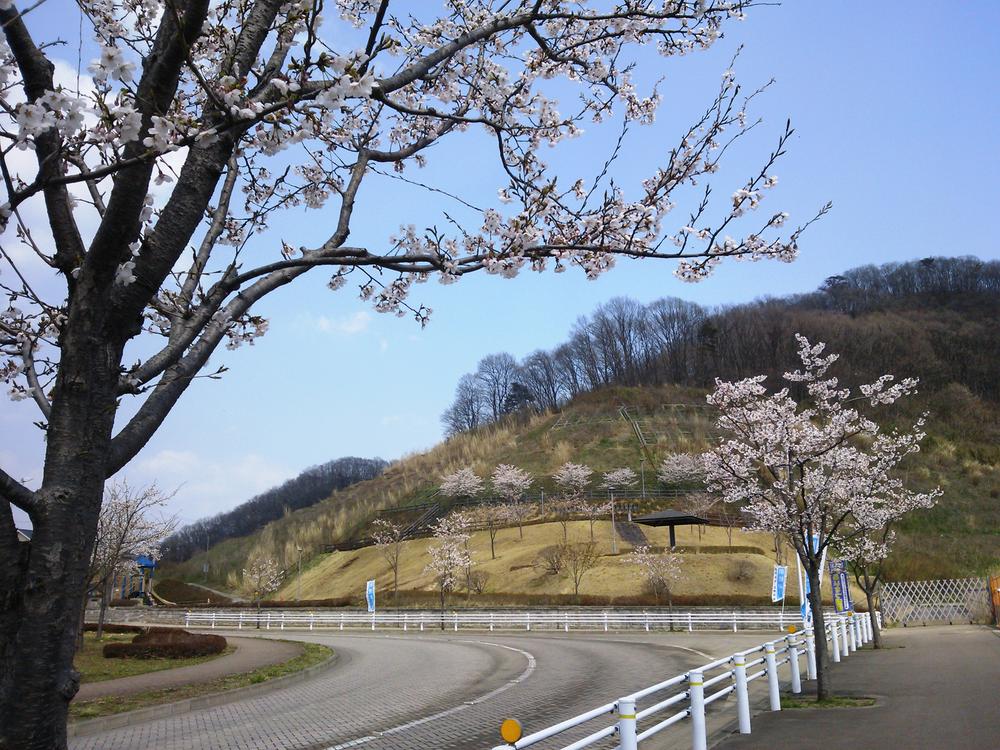 Other local. When you exit the row of cherry blossom trees ・  ・  ・ It is arrived at Sakurazaka