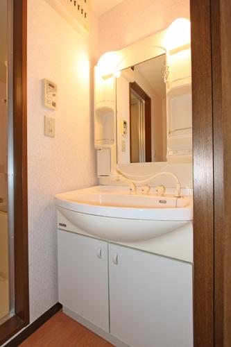 Wash basin, toilet. Bathroom vanity