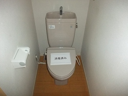 Toilet. Toilet