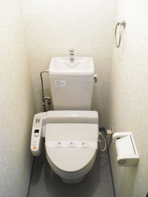 Toilet. Toilet