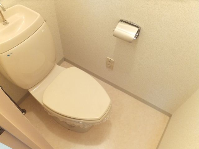 Toilet. It is a simple Western-style toilet.