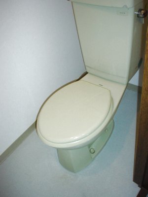 Toilet. It marked with warm water washing toilet seat.