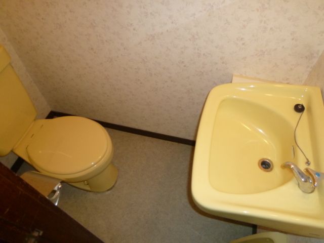 Toilet. There is a wash basin in the toilet