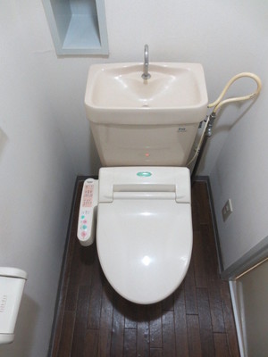 Toilet. Toilet