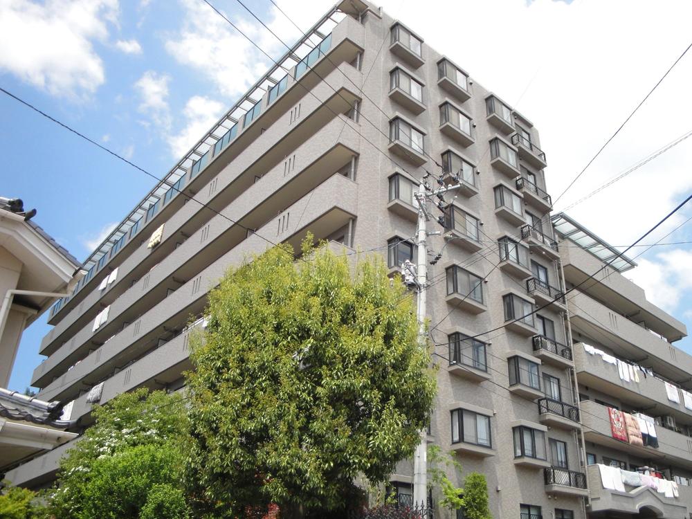 Local appearance photo. Local (June 2013) Shooting