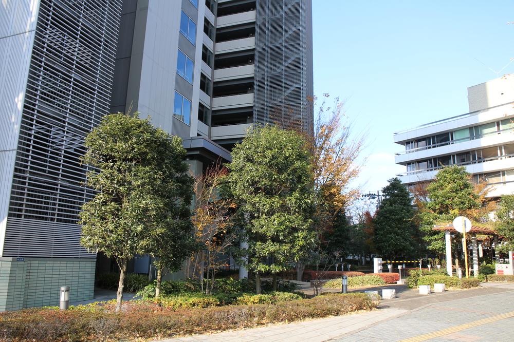 Other local. Local (12 May 2013) Shooting