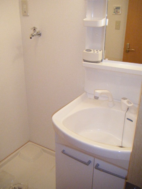 Washroom. With shampoo dresser