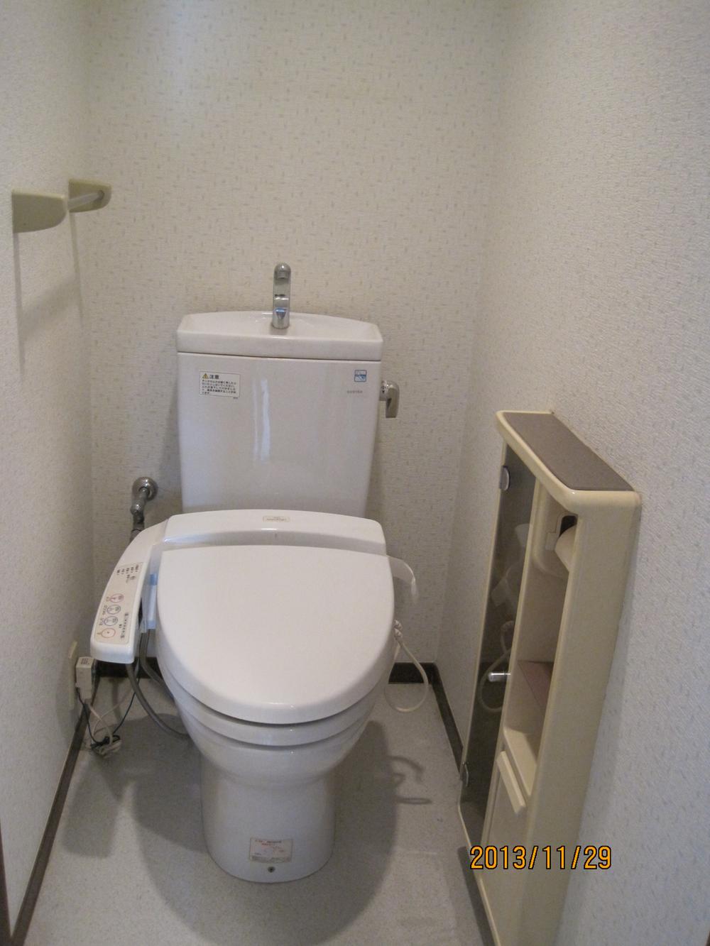 Toilet. Toilet paper with storage space