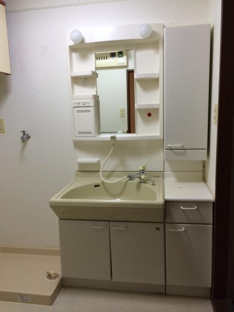 Wash basin, toilet. Shampoo dresser