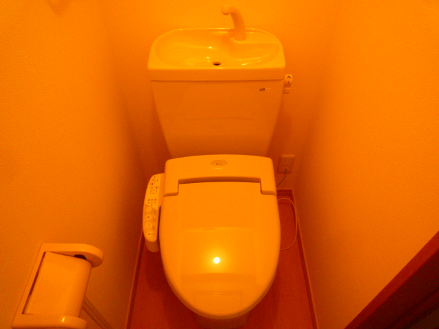 Toilet. Now warm water cleaning toilet seat is standard equipment.