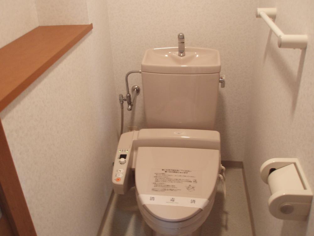 Toilet. Indoor (10 May 2012) shooting