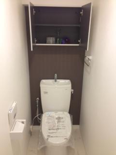 Toilet. Room (August 2013) Shooting