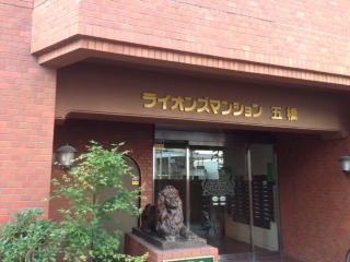 Entrance. Common areas