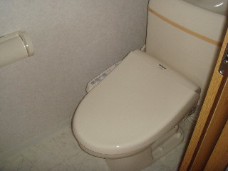 Toilet. It is a hot water wash with toilet with cleanliness.