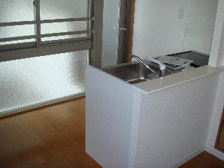 Kitchen. It is a popular counter kitchen.