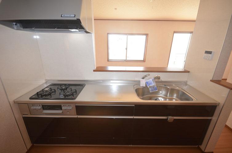 Same specifications photo (kitchen). With water purifier