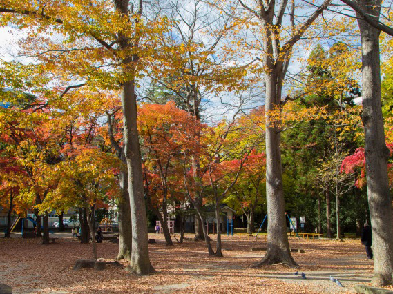 Surrounding environment. Katsuyama park (about 600m ・ An 8-minute walk)