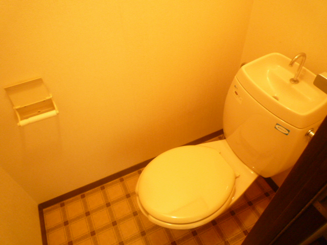 Toilet. Is fairly simple Western-style toilet