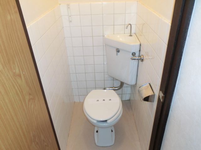 Toilet. Toilet space that can be relieved.