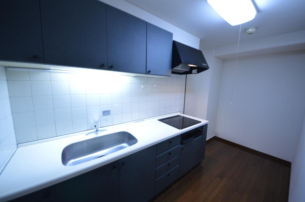 Kitchen. Indoor (11 May 2013) Shooting