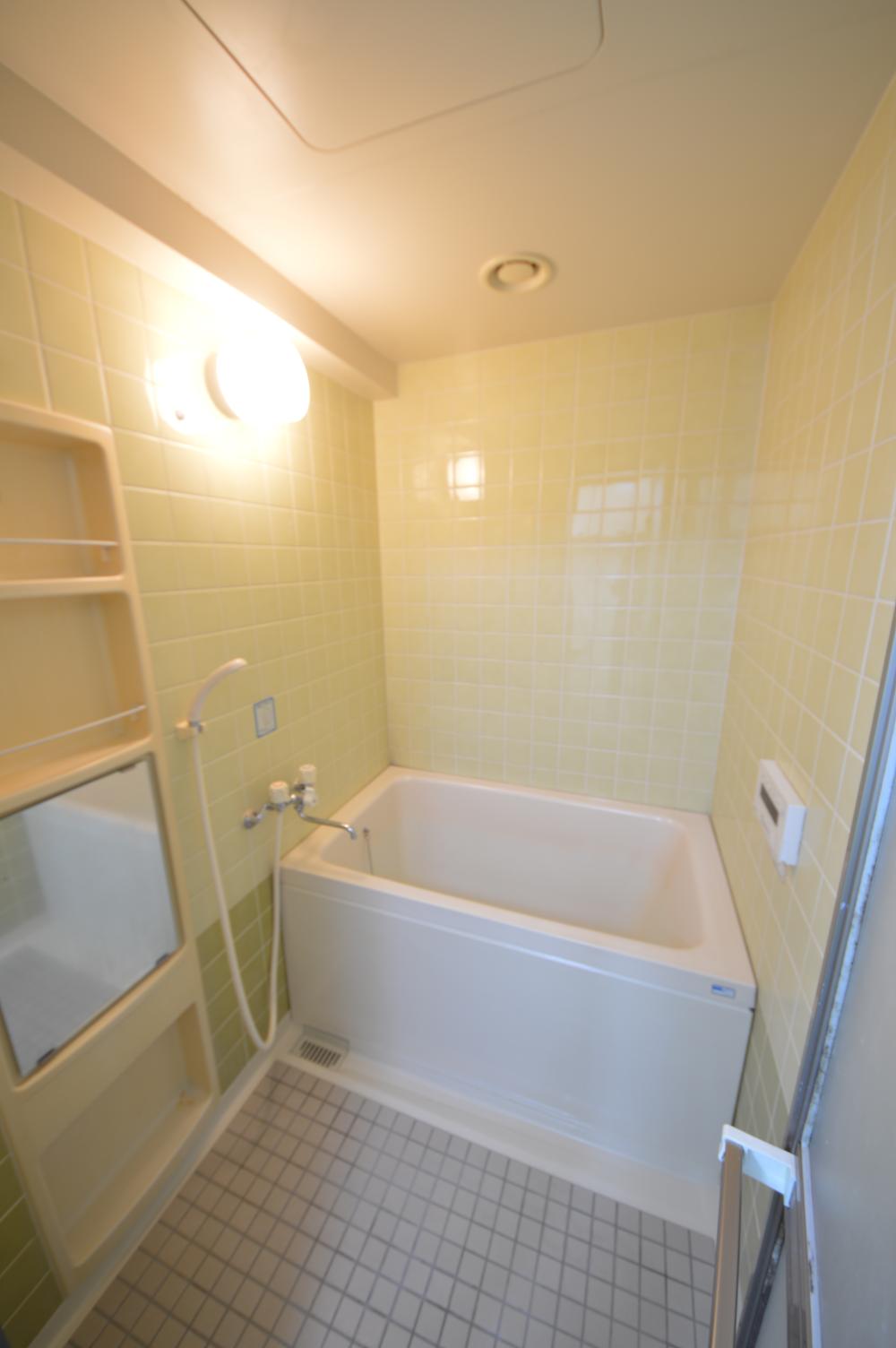 Bathroom. Indoor (11 May 2013) Shooting