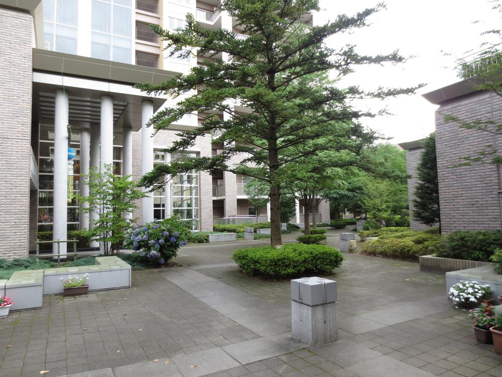 Other local. Local (August 2013) Shooting