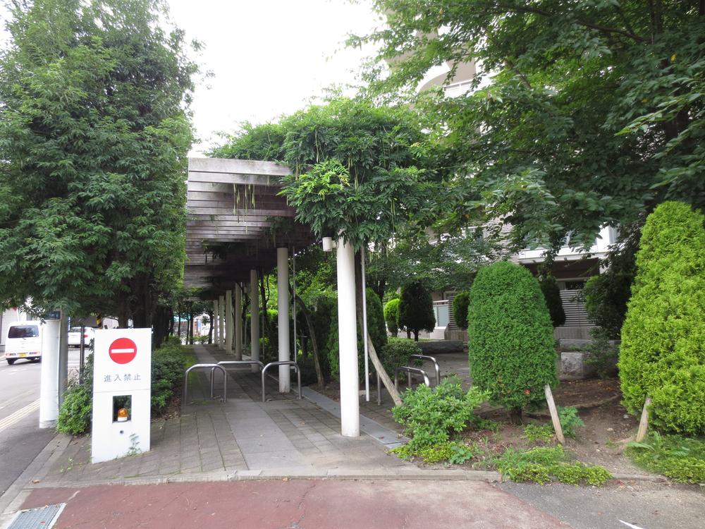 Other local. Local (August 2013) Shooting