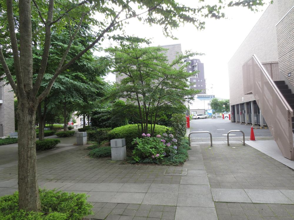 Other local. Local (August 2013) Shooting