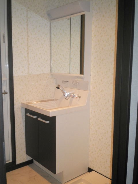 Washroom. Vanity with shower