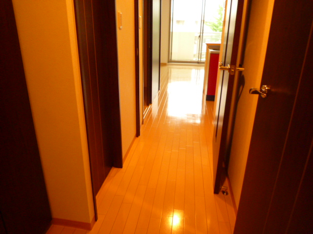 Entrance. Shiny flooring