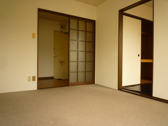 Living and room. Carpet of Western-style