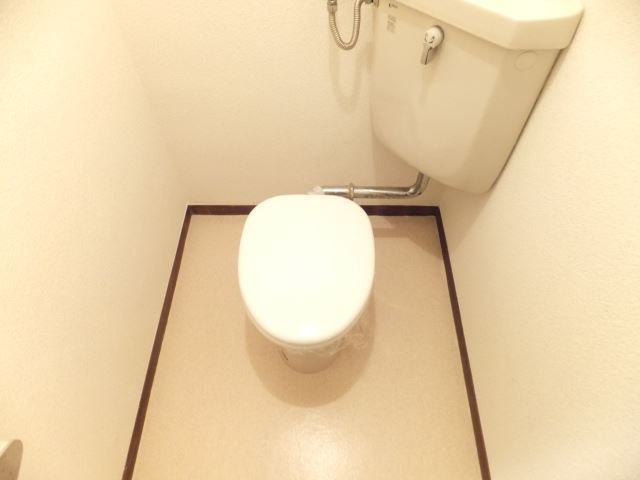 Toilet. It is a simple toilet.