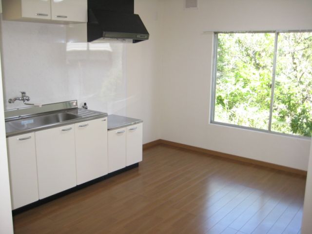 Kitchen. Spacious kitchen space