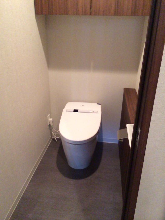 Toilet