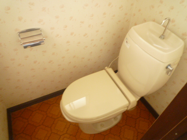 Toilet. Cold winter also peace of mind with a heating toilet seat