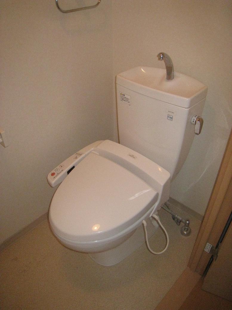 Toilet. It is a restroom with a warm water washing toilet seat!